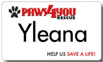 Paws 4 You Aluminum Name Tag